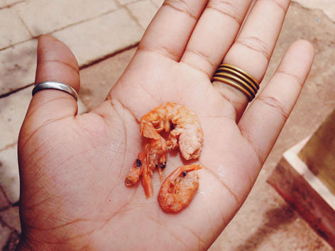 Dried shrimp for som tam, Thai papaya salad